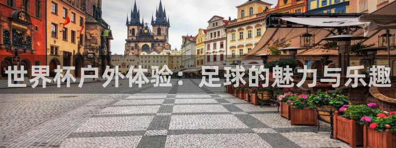 世界杯亚洲区预选赛赛程：世界杯户外体验：足球的魅力与乐趣