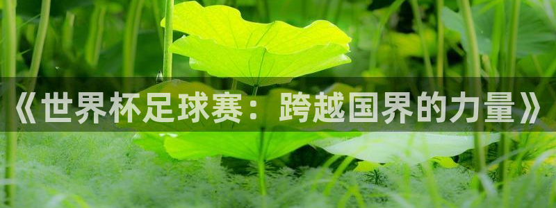 世界杯赛程表2026：《世界杯足球赛：跨越国界的力量》