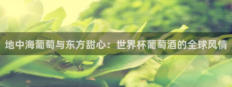 世界杯预选赛欧洲赛区赛程：地中海葡萄与东方甜心：世界杯葡萄酒的全球风情