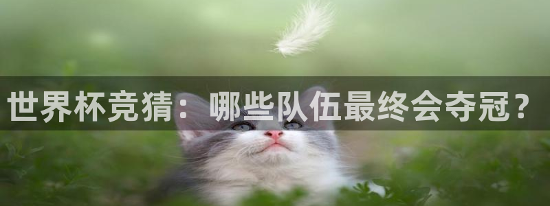 世界杯附加赛赛程表：世界杯竞猜：哪些队伍最终会夺冠？