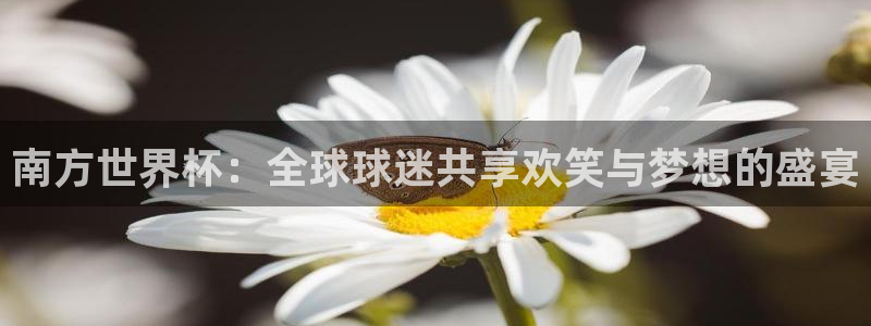 2026世界杯赛程表完整版：南方世界杯：全球球迷共享欢笑与梦想的盛宴
