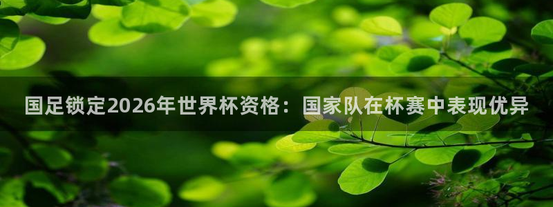 免费看足球直播比赛：国足锁定2026年世界杯资格：国家队在杯赛中表现优异
