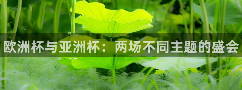 欧洲区世界杯预选赛：欧洲杯与亚洲杯：两场不同主题的盛会