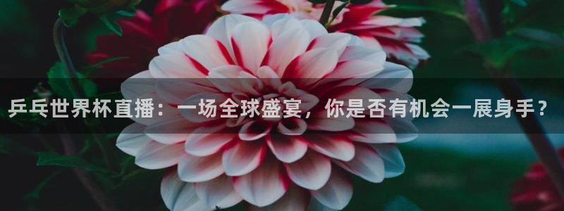 2026足球世界杯赛程：乒乓世界杯直播：一场全球盛宴，你是否有机会一展身手？